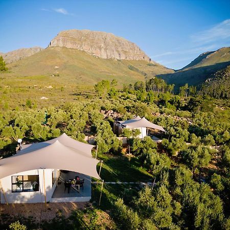 Wagyu Mountain Lodge Paarl Kültér fotó