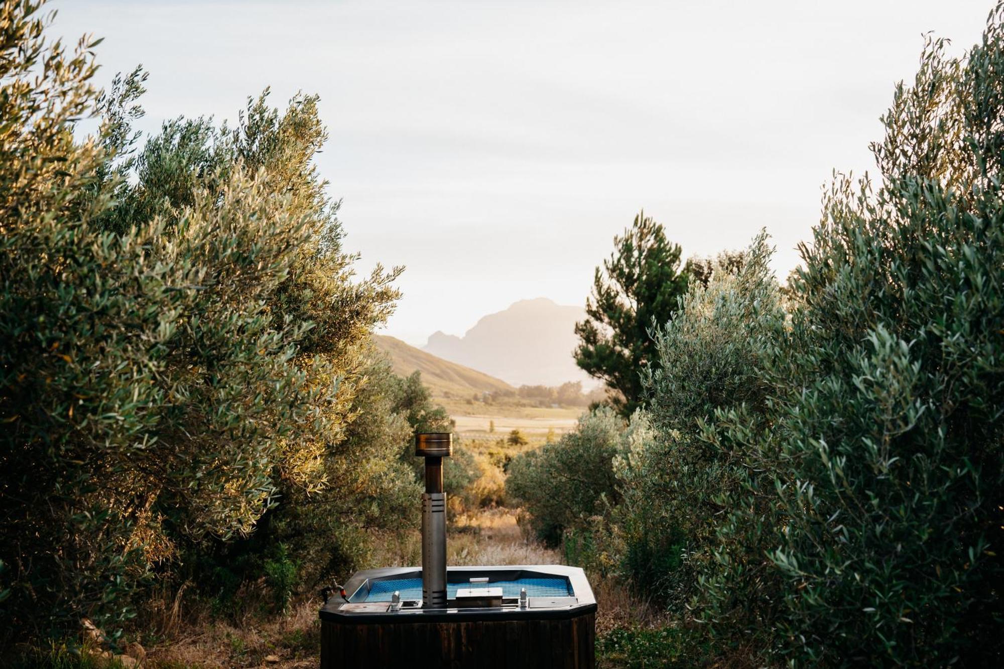 Wagyu Mountain Lodge Paarl Kültér fotó