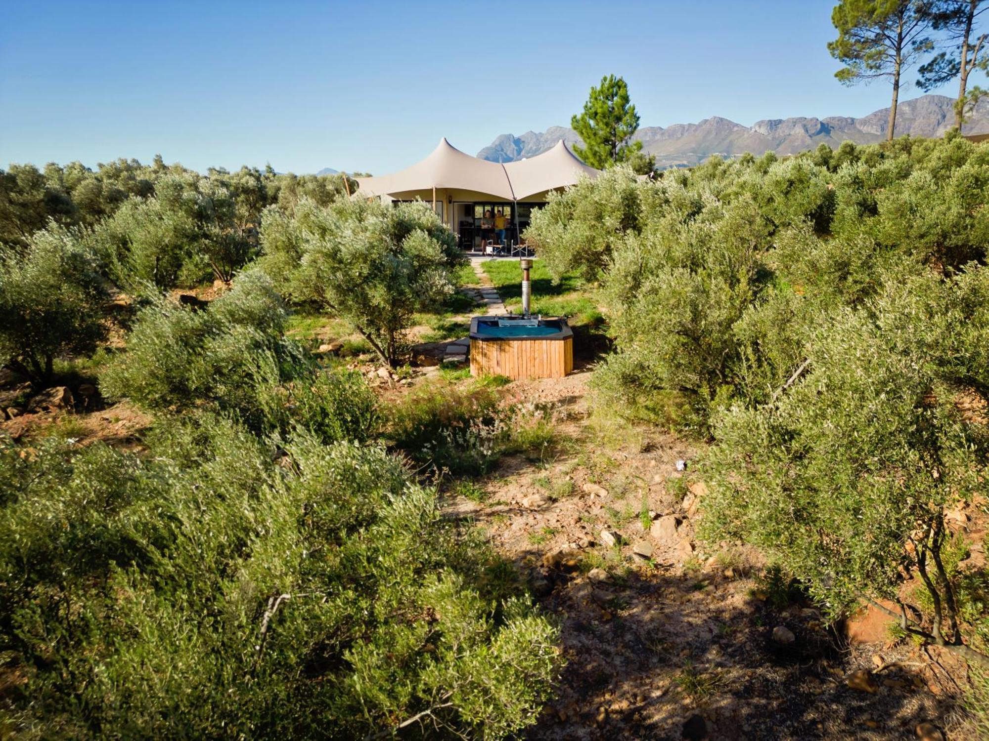 Wagyu Mountain Lodge Paarl Kültér fotó