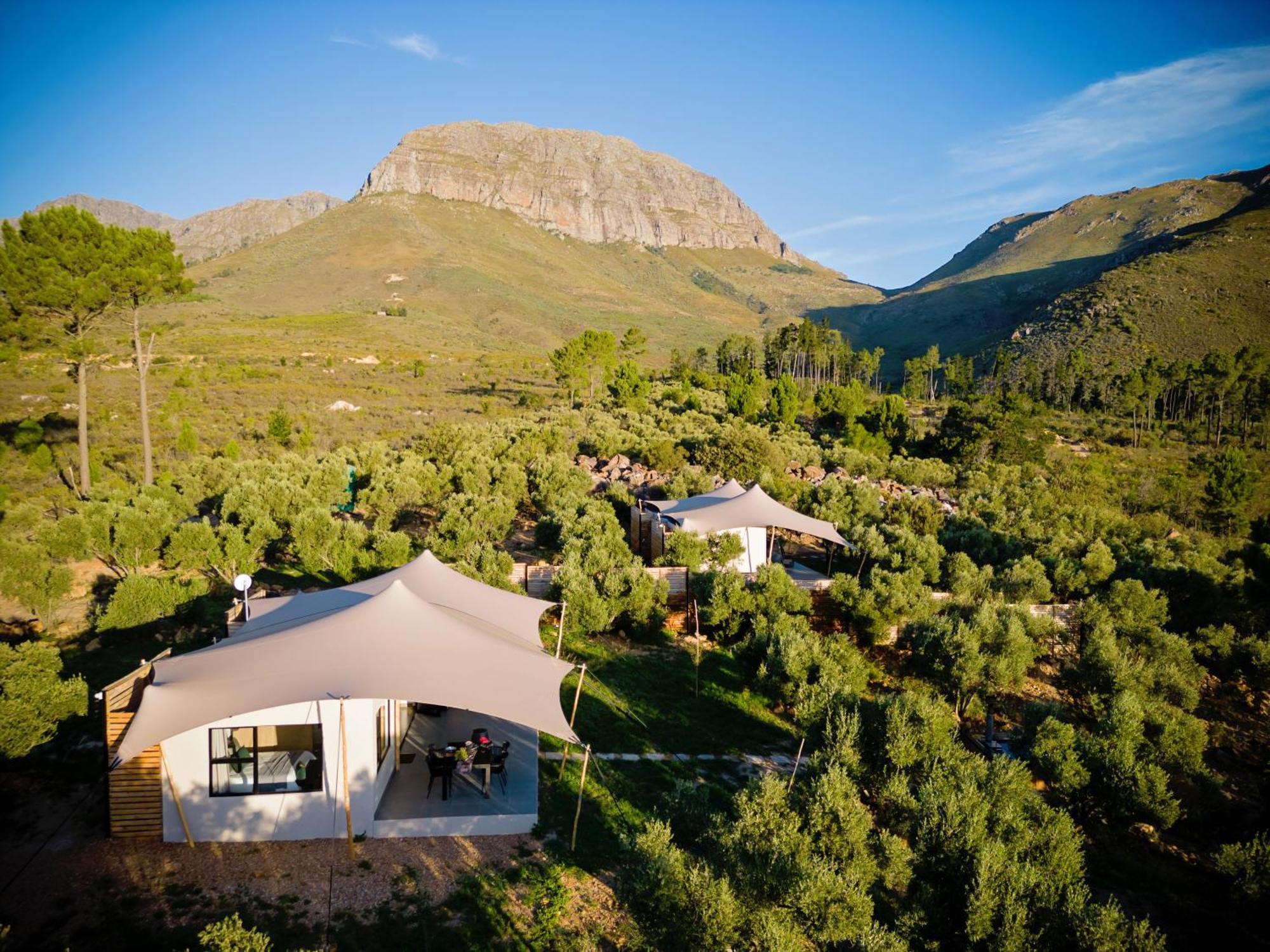 Wagyu Mountain Lodge Paarl Kültér fotó