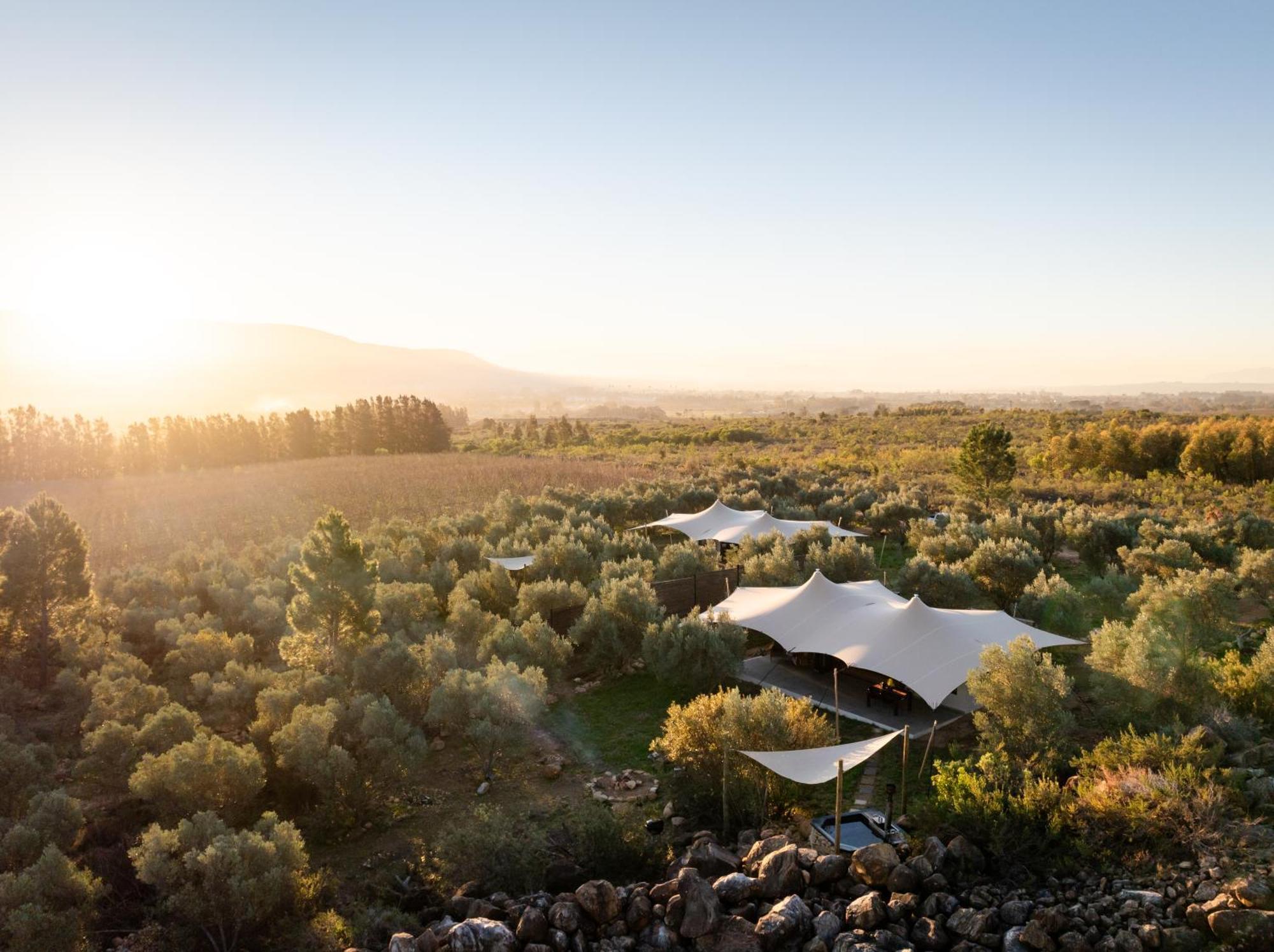 Wagyu Mountain Lodge Paarl Kültér fotó