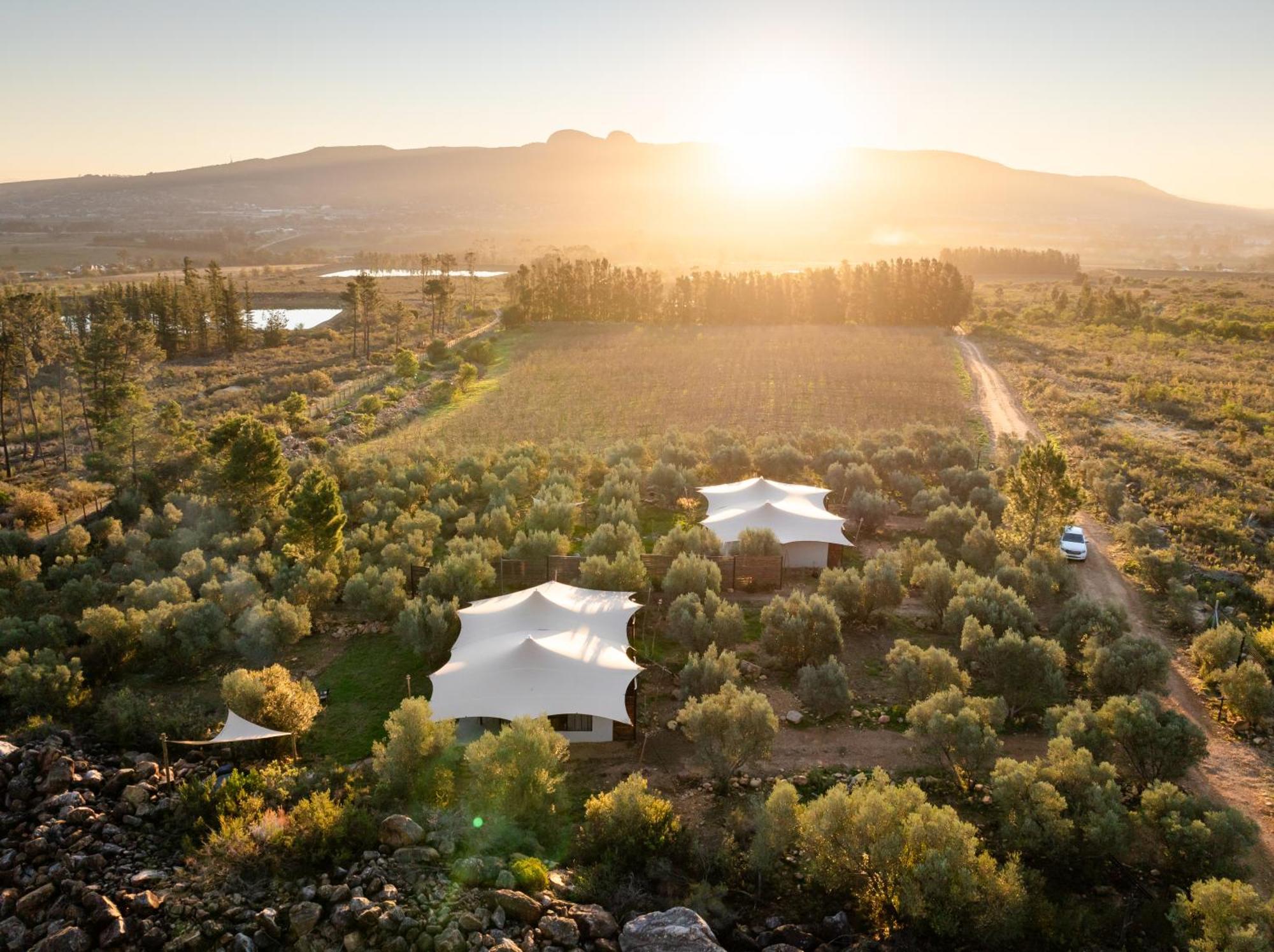 Wagyu Mountain Lodge Paarl Kültér fotó